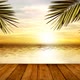 Palm On The Cloudy Beach 1 - VideoHive Item for Sale