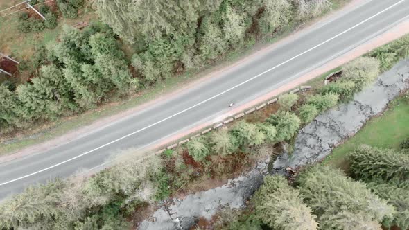 Cyclist rides on mountain road in national park or forest. Woman on bike riding outdoors.