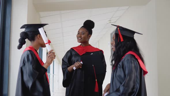 A Group of African American Students with Diplomas Communicate in the University Building