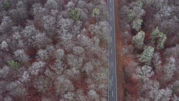 Aerial view of road through forest in winter, Steigerwald, Germany