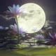 Full Moon Over The Lotus Pond - VideoHive Item for Sale