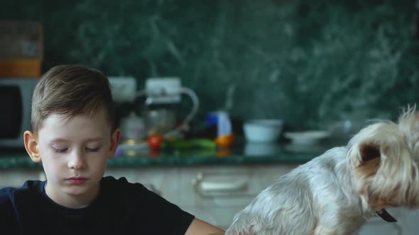 Caucasian boy 7-8 years old finished doing homework on laptop and stroking his dog