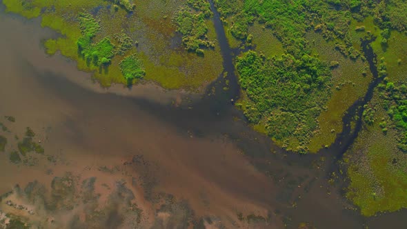 Aerial view over large wetlands in Thale Noi, Phatthalung, Thailand. 4K drone