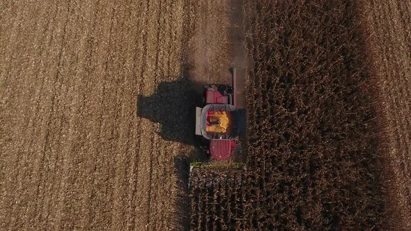 Corn Field And Combine Harvester