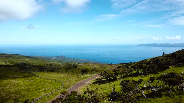 Stunning greenish landscape aerial view of Pico Island, beautiful light blue sky with some clouds an