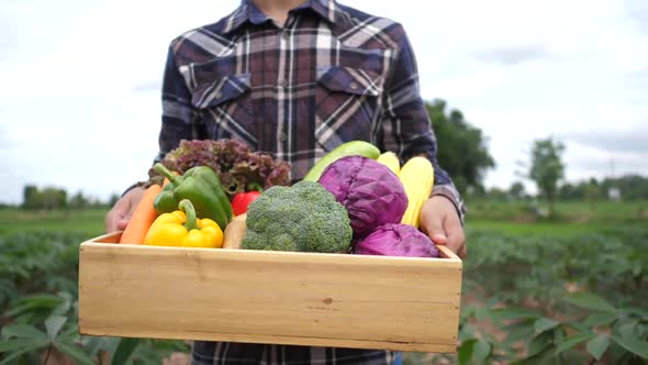 Close up Farmer is holding a box of organic vegetables