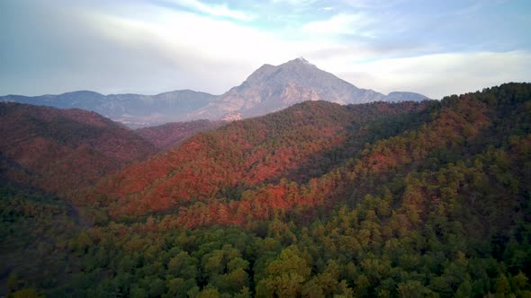 Drone view on natural park among tracking path lycian way