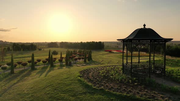 Scenic Landscape of Beautiful Summer Park Dobropark at Sunrise Motyzhyn Ukraine