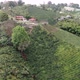 Coffee plantations on the mountains of my farm in Ecuador - VideoHive Item for Sale