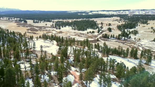 Aerial view of Pikes National Forest in the Winter