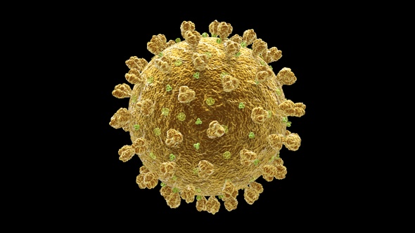 Coronavirus Covid 19 Cell