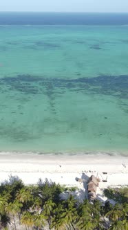 Beach on the Coast of Zanzibar Island Tanzania