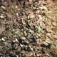 Broken Glass Moves Along The Conveyor - VideoHive Item for Sale