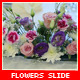 Flowers Slide - VideoHive Item for Sale