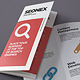 Tri Fold SEO Flyer - GraphicRiver Item for Sale