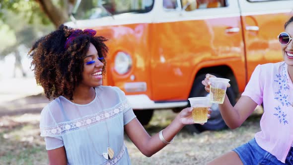 Friends toasting glass of beer in park