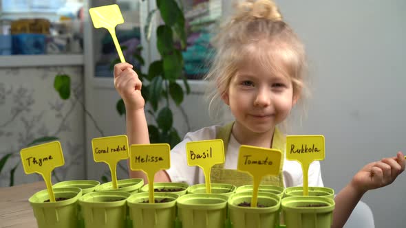 a Small Blonde Girl in an Apron Smiles and is Engaged in Planting Seeds for Seedlings of Micro Green