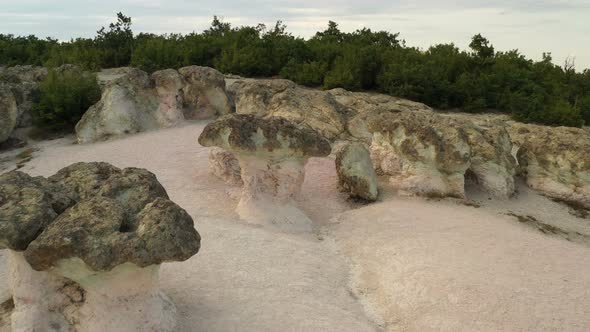 The Natural Phenomenon Stone Mushrooms 1