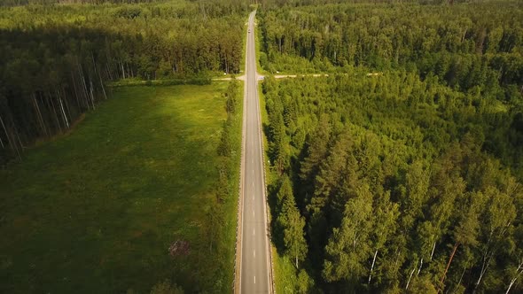 Highway Among the Forest.