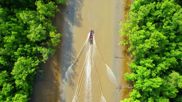 A fisherman boat is sailing on a canal at a beautiful mangrove forest