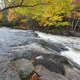 Huge Boulders and Colorful Fall Forest on a Riverside - VideoHive Item for Sale