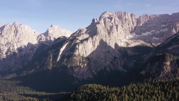 Forested Wild Mountains