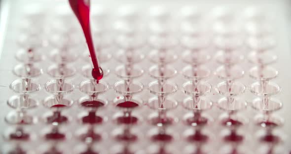 Blood Drops And Pipette