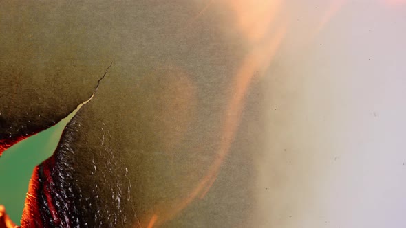 Transition Paper Burning