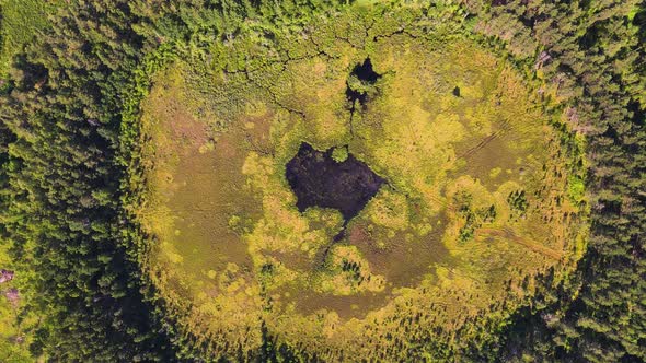 An Exotic Deep Swampy Lake with Black Water