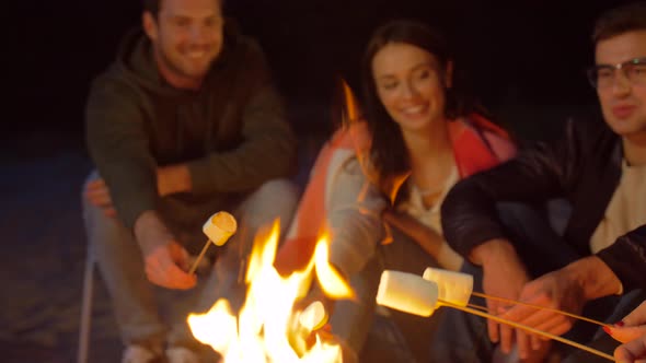 Friends Roasting Marshmallow on Camp Fire at Night