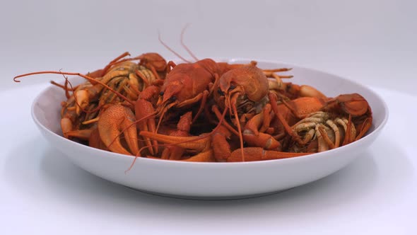 Red boiled crayfish