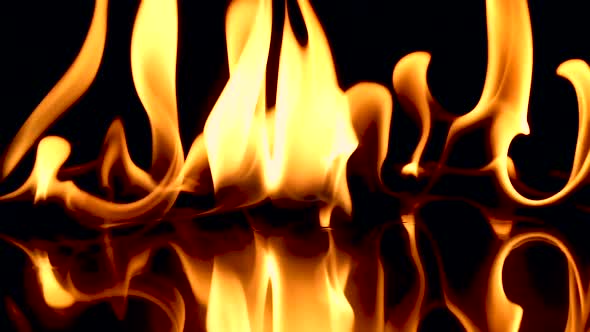 Slow Motion Shot of Fire Flames Isolated on Black Background