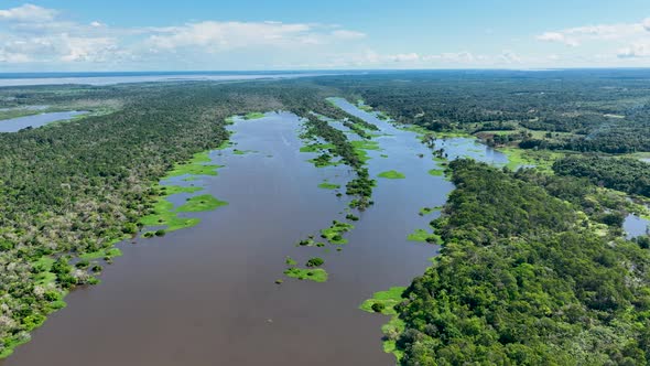 Stunning landscape of Amazon Forest at Amazonas State Brazil.