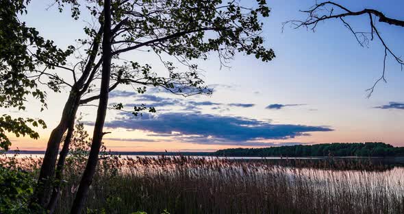 Beautiful Forest Lake, Time Lapse at Sunrise, Summer Landscape