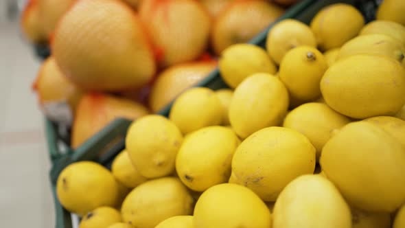 Fresh Juicy Citrus Fruits are on the Counter in the Supermarket