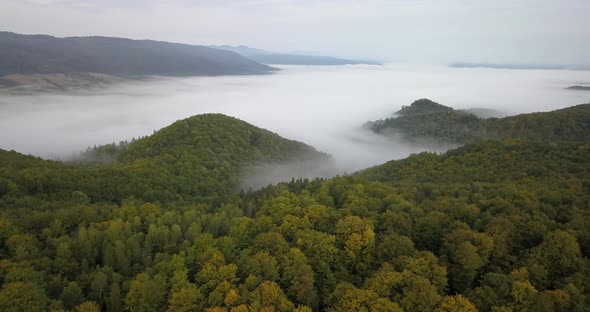 Aerial View To the Foggy Morning Carpathian Forest in Ukraine