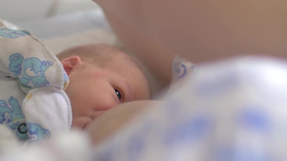  - Breastfeeding Newborn in Maternity Hospital