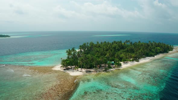 Flying a drone around a tropical island with coconut trees in the Maldives