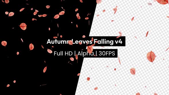 Autumn Leaf Leaves Falling with Alpha v4