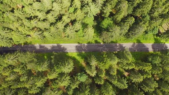Top Down Aerial View Flying Over Forest Road with Car