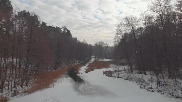 Winter Forest With River alt