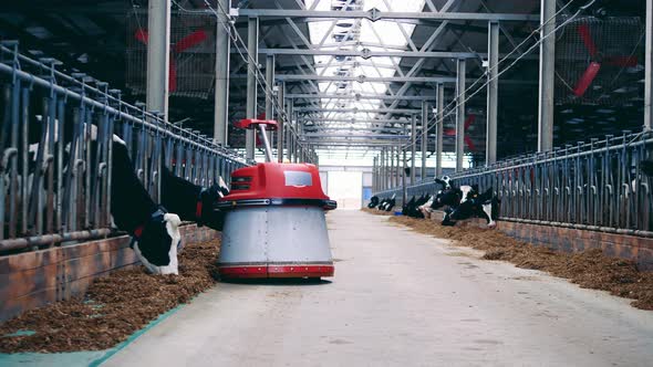 Robotic Feed Pusher is Helping Farm Cows to Eat Hay