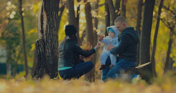 Family is Sitting on a Big Stump in the Autumn Park