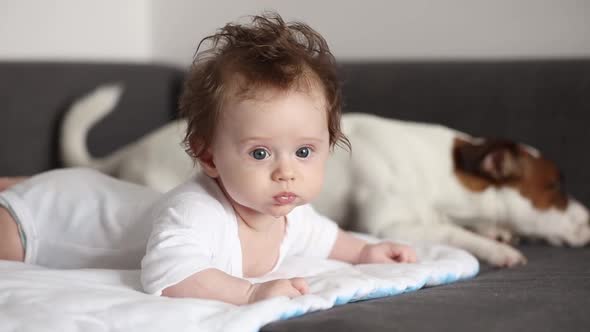 little child with a dog lying down on a sofa