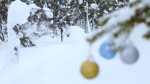 Winter Forest and Defocused Christmas Balls on a Branch