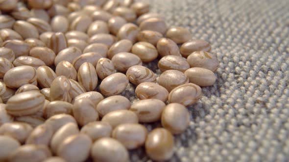 Raw Carioca beans on rough jute cloth. Brazilian legume grains. Phaseolus vulgaris. Macro