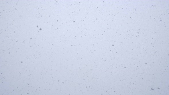 Looped Seamless Footage of Fresh White Snow Falling