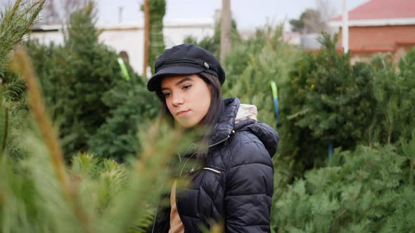 A woman shopping on a festive Christmas tree decoration lot in the winter holiday season.