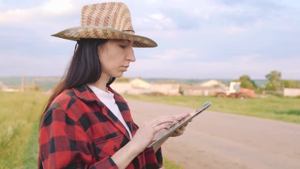 Farmer Woman with Tablet Working in Wheat Field During Harvesting By a Combine She Controls the