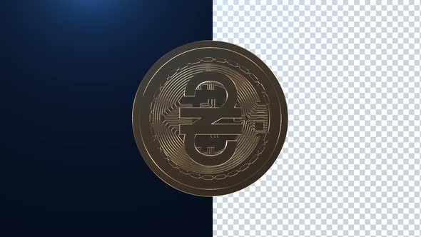 Hryvnia/Ukraine Currency alt